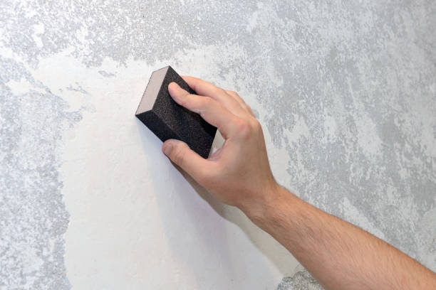 Best Residential Mold Inspection & Testing  in Willard, OH