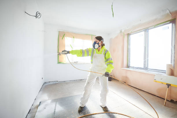 Best Water Damage & Mold Remediation  in Willard, OH