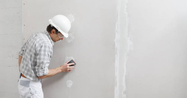 Best Biohazard Mold Removal  in Willard, OH