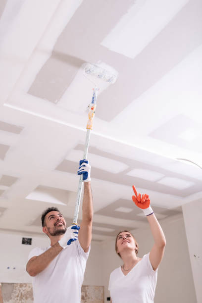 Best Comprehensive Air Testing for Mold Contaminants  in Willard, OH