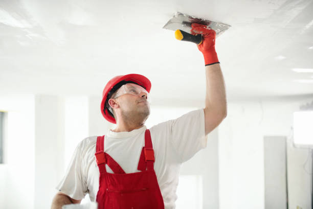 Best Asbestos and Lead Testing During Mold Inspection  in Willard, OH