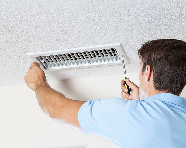 Best Mold-Related Health Consultation  in Willard, OH