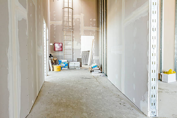 Best Commercial Mold Inspection  in Willard, OH